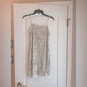 Trixxi Shimmering dress with Beige Lining and Silver Dangling sequin detail